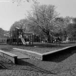 Hiawatha Park 4