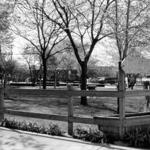 Forest Glen Playlot 1