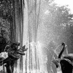 Fountain Close Up