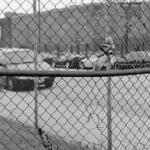 Fences