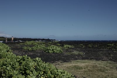 Kau District_ Punaluu Beach 1