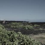 Kau District_ Punaluu Beach 2