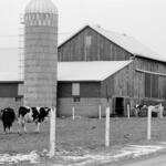 Indiana