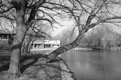 Lincoln Park South Pond_ Old Town Triangle 2