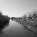 Chicago River North Channel_ Budlong Woods 1