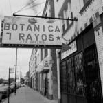 Botanica Rayos 1