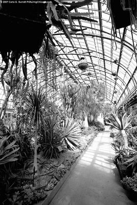 Conservatory Interior 5