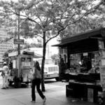 15th Street Food Stand 1